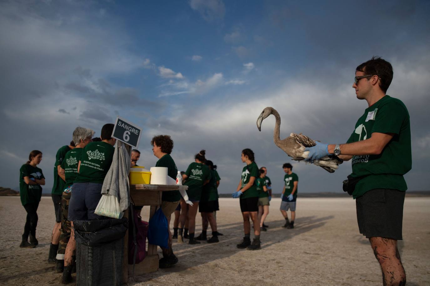 Fotos: Aumenta la familia flamenca andaluza