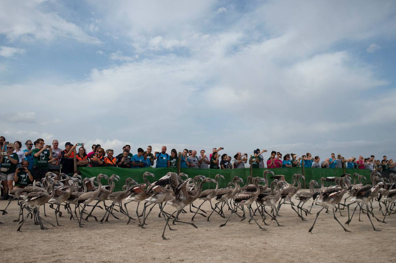 Fotos: Aumenta la familia flamenca andaluza