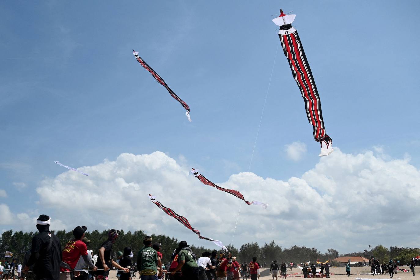 Fotos: Viento, mar y cometas