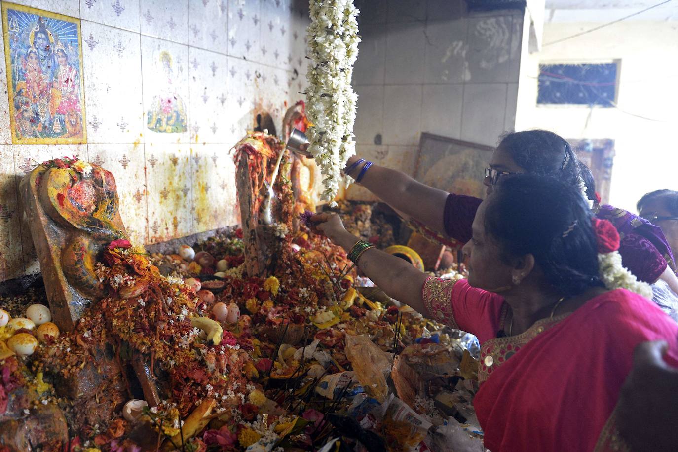 Fotos: Ofrendas y adoración a las serpientes en Bangalore