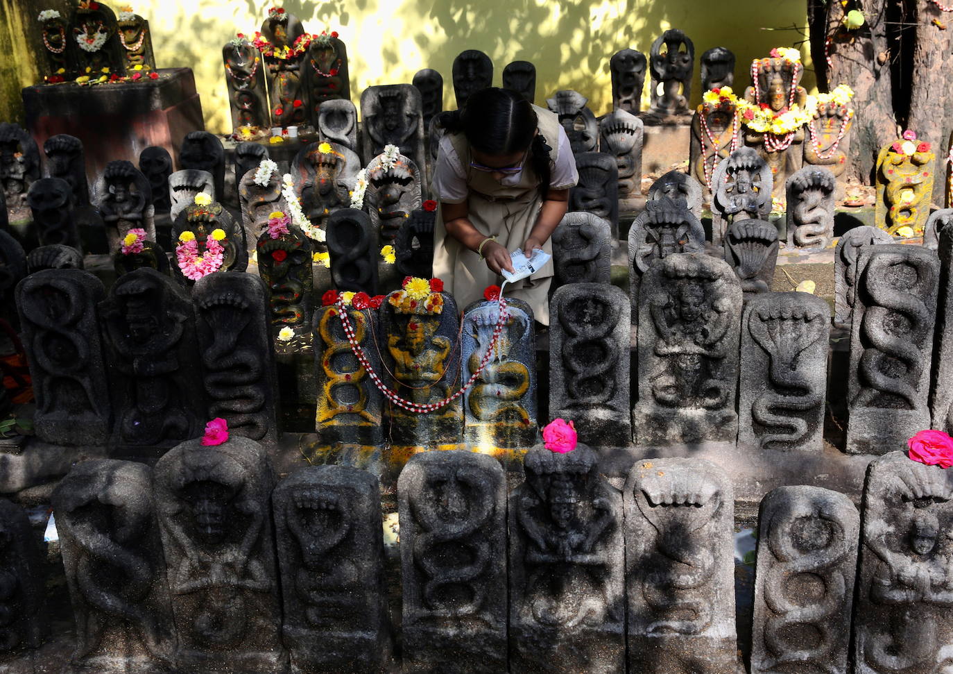Fotos: Ofrendas y adoración a las serpientes en Bangalore