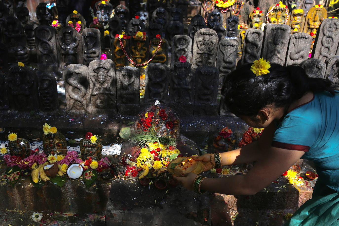 Fotos: Ofrendas y adoración a las serpientes en Bangalore