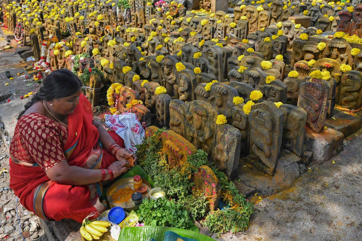 Fotos: Ofrendas y adoración a las serpientes en Bangalore