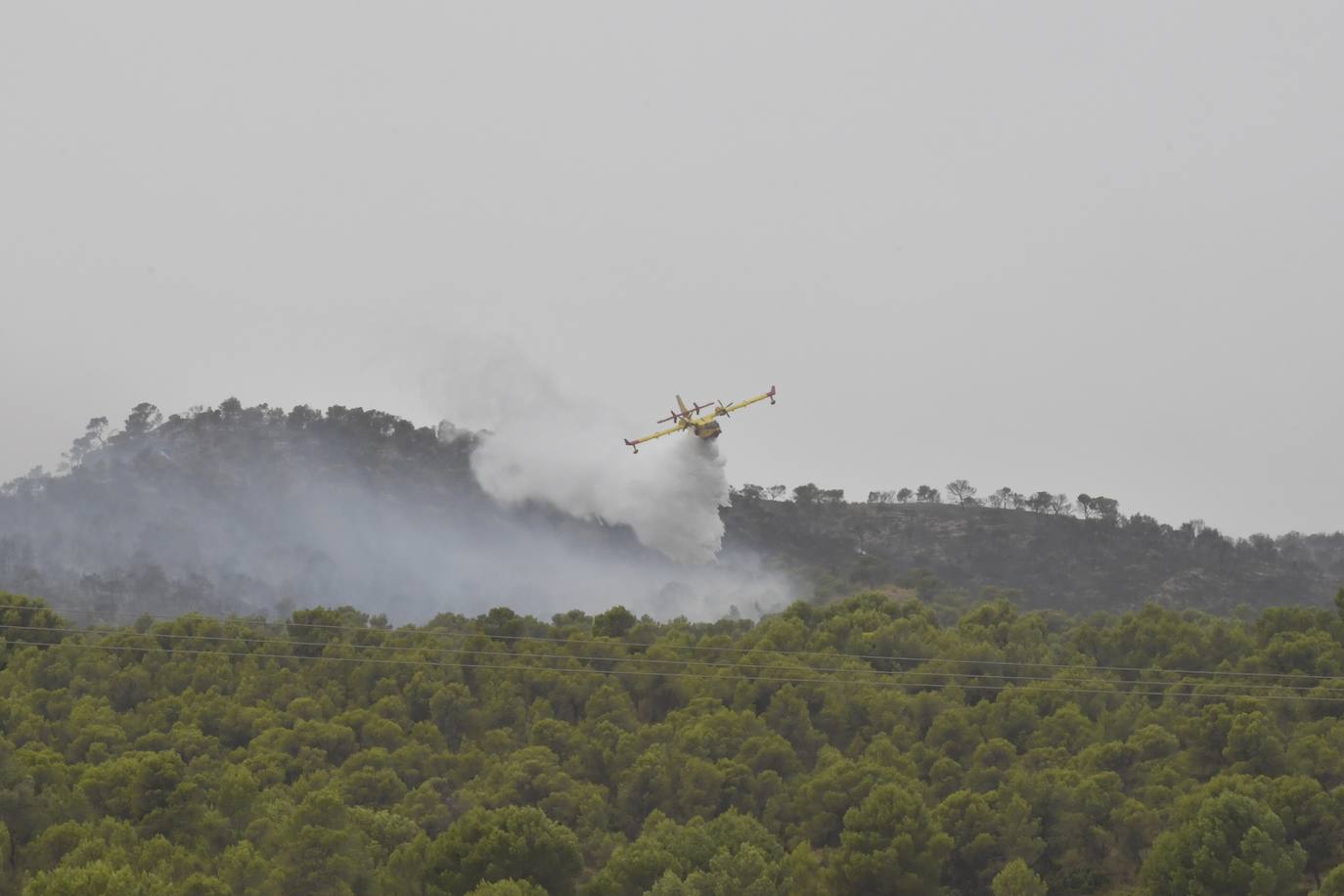 Fotos: Incendio en el paraje de la Patoja