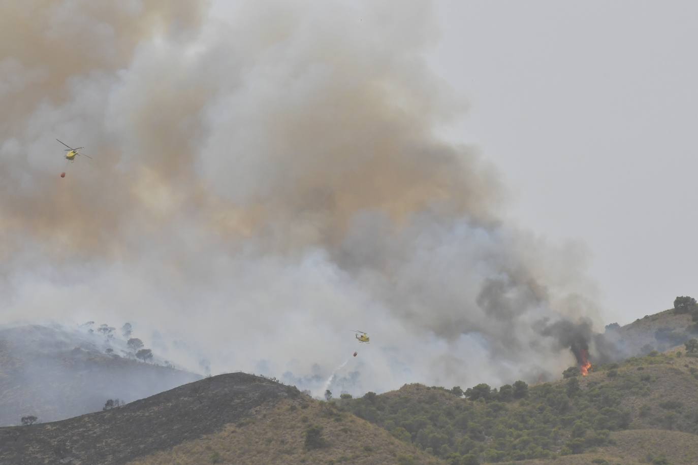 Fotos: Incendio en el paraje de la Patoja