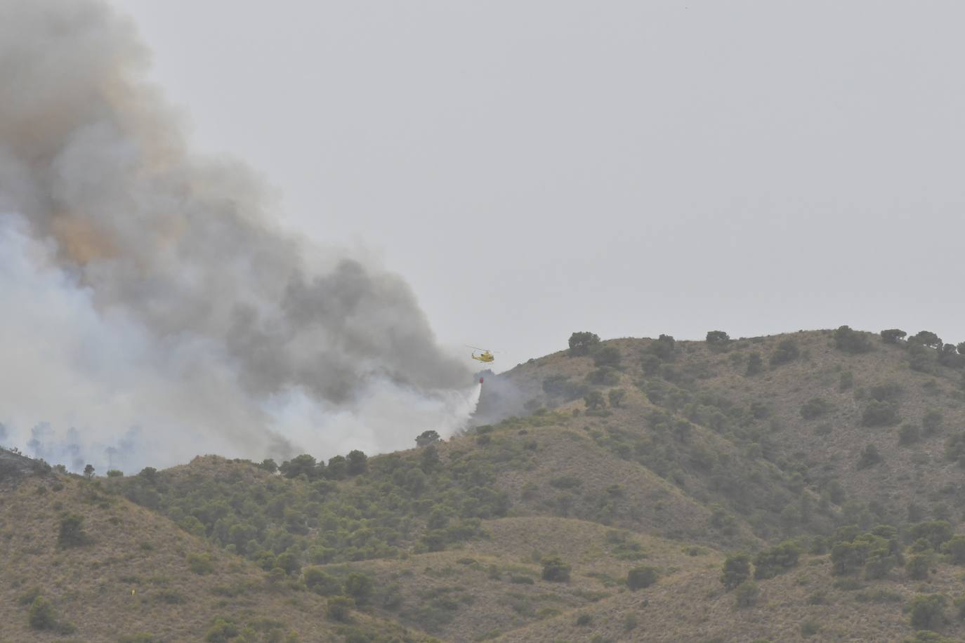 Fotos: Incendio en el paraje de la Patoja