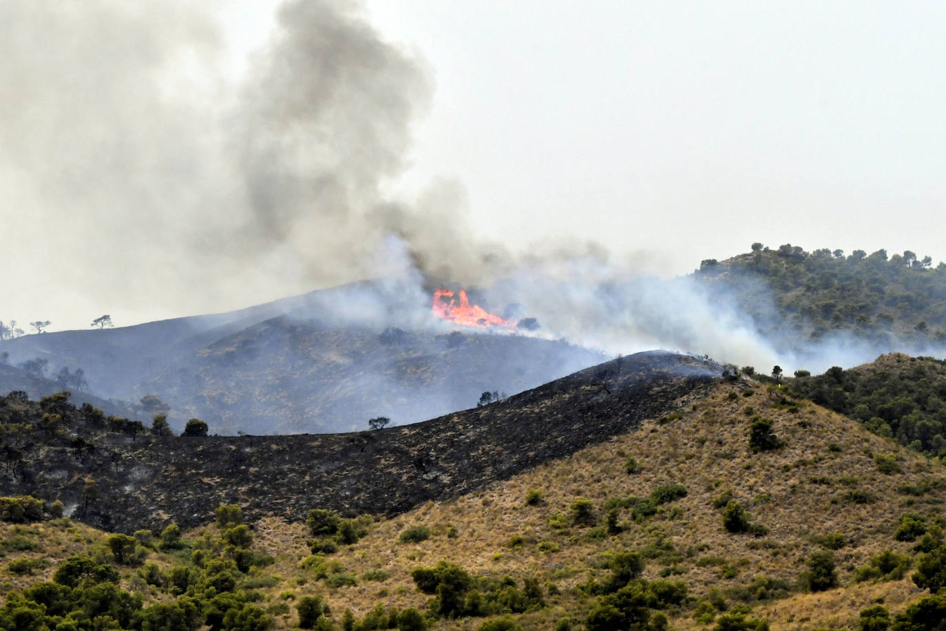 Fotos: Incendio en el paraje de la Patoja