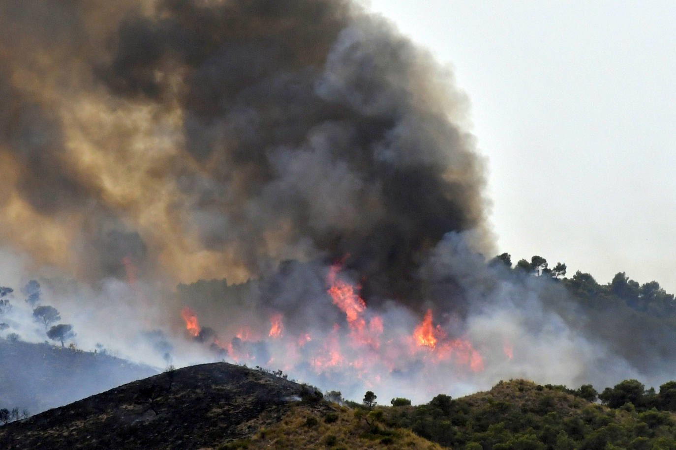 Fotos: Incendio en el paraje de la Patoja