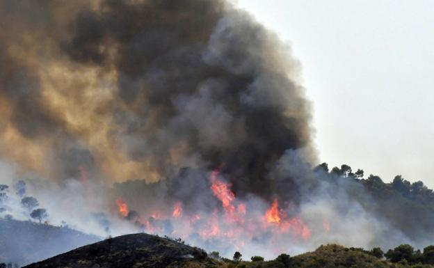 Llamas del incendio de Jumilla, este sábado por la mañana. 