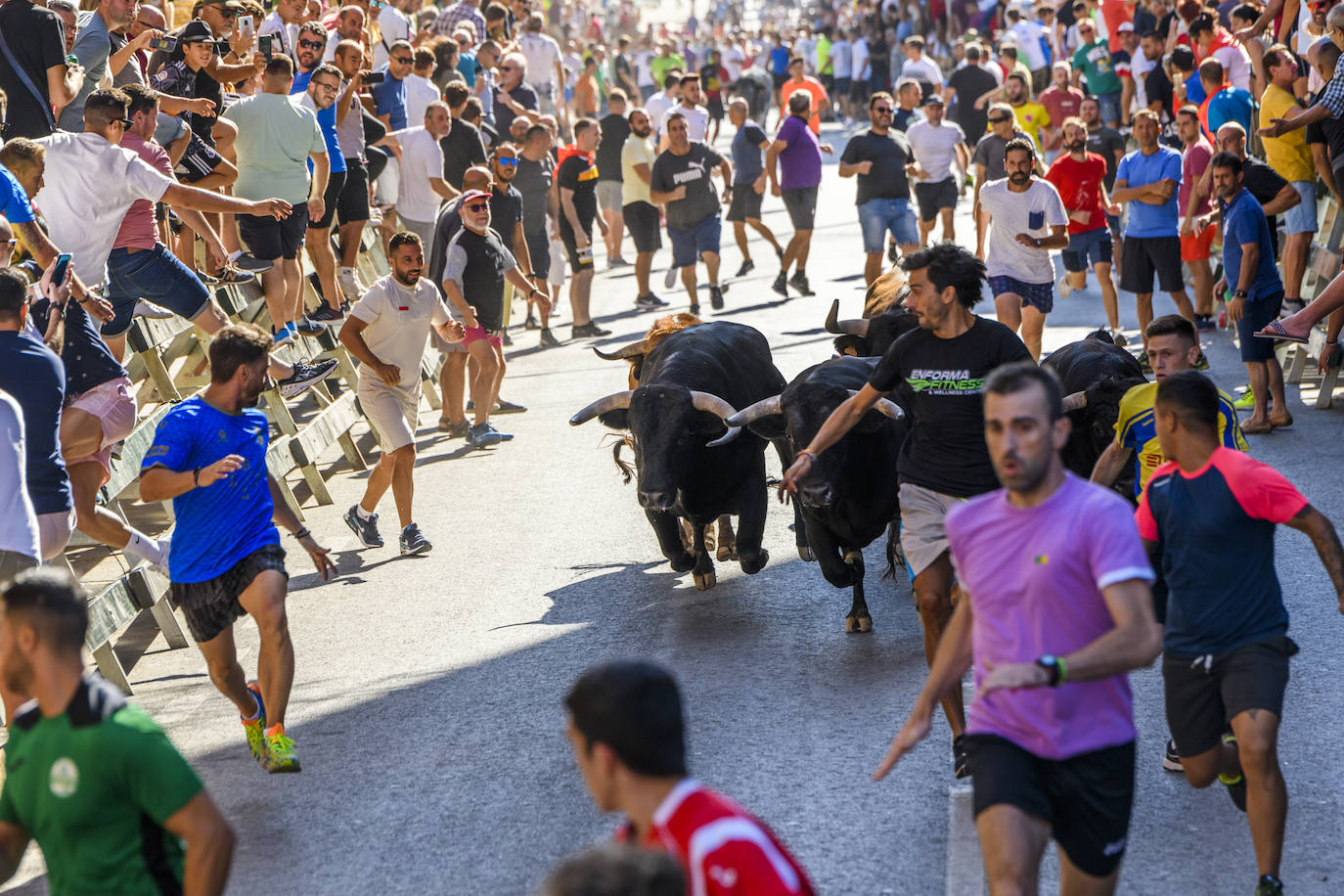 Fotos: Último encierro de las fiestas de Blanca