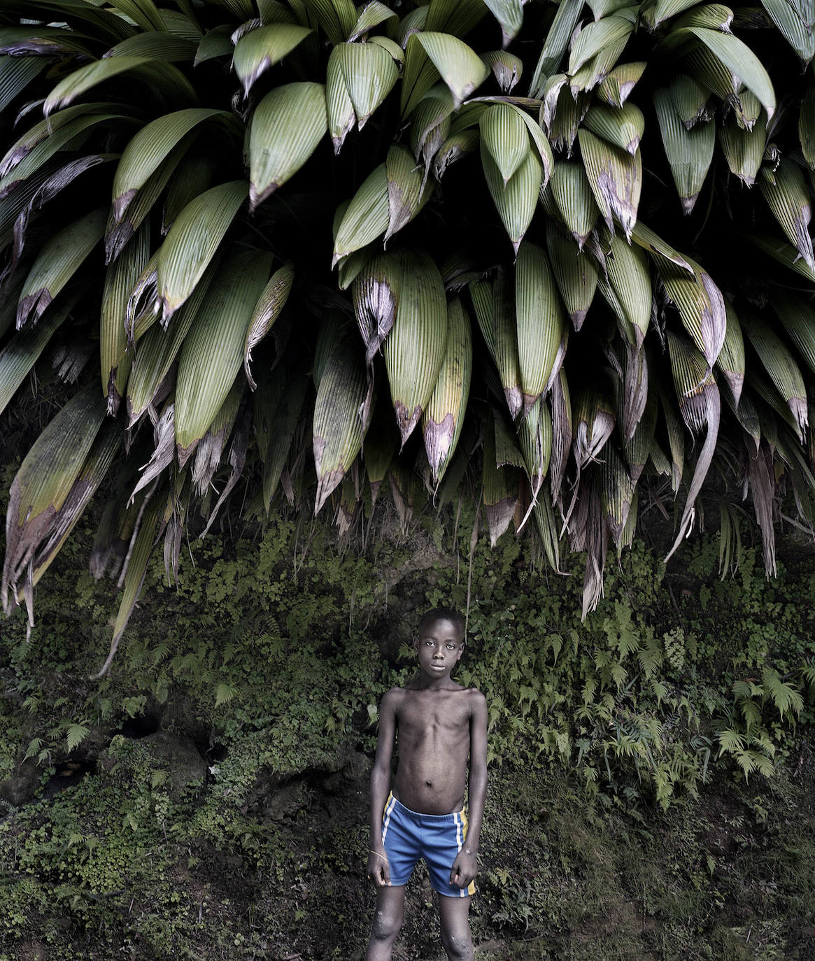 Fotos: Exposiciones &#039;Fluye&#039; y &#039;Son&#039;