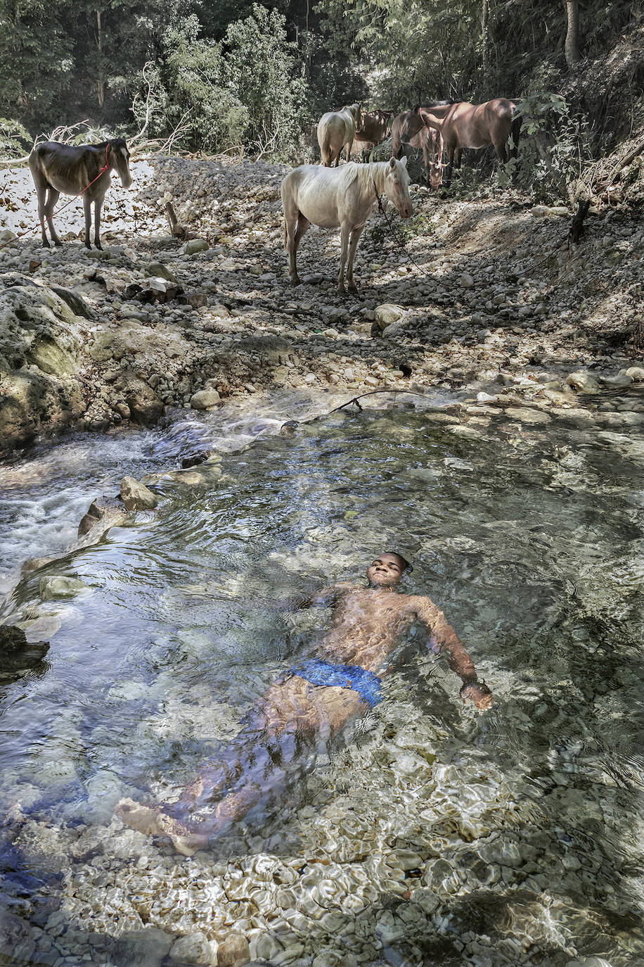 Fotos: Exposiciones &#039;Fluye&#039; y &#039;Son&#039;