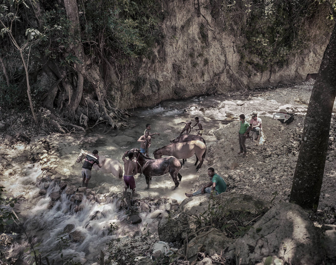 Fotos: Exposiciones &#039;Fluye&#039; y &#039;Son&#039;