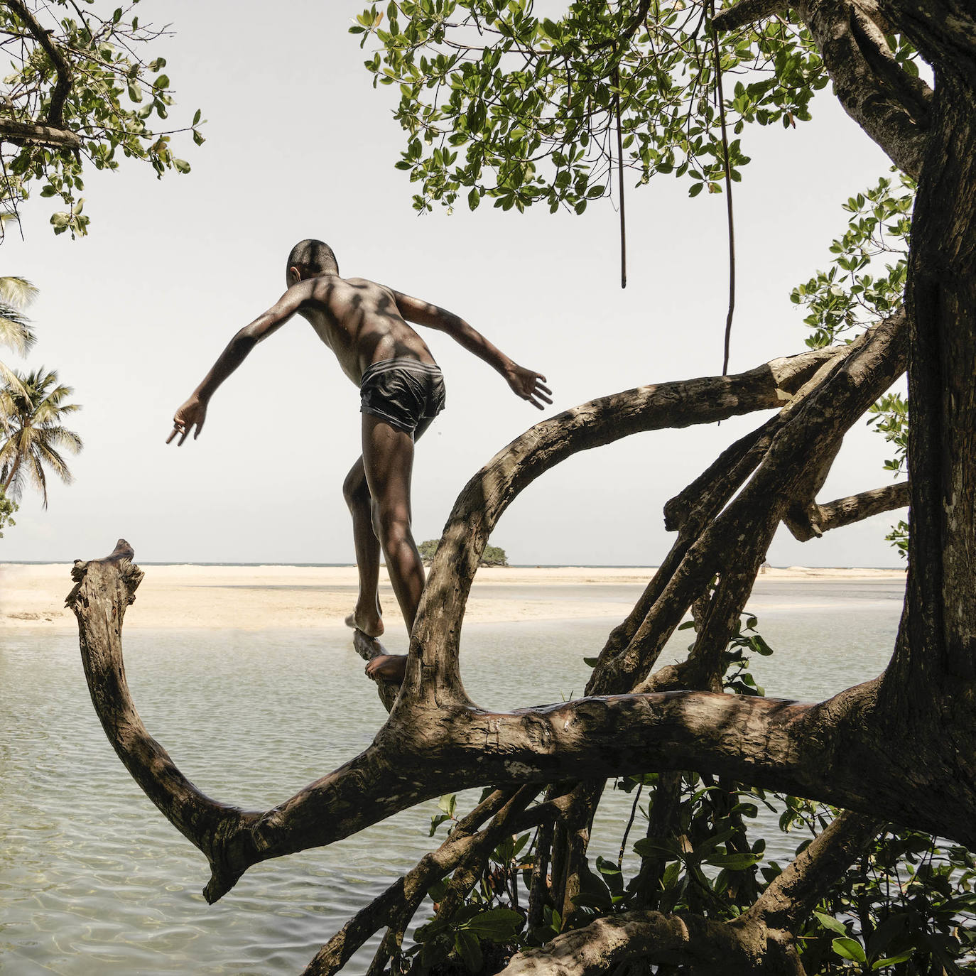 Fotos: Exposiciones &#039;Fluye&#039; y &#039;Son&#039;