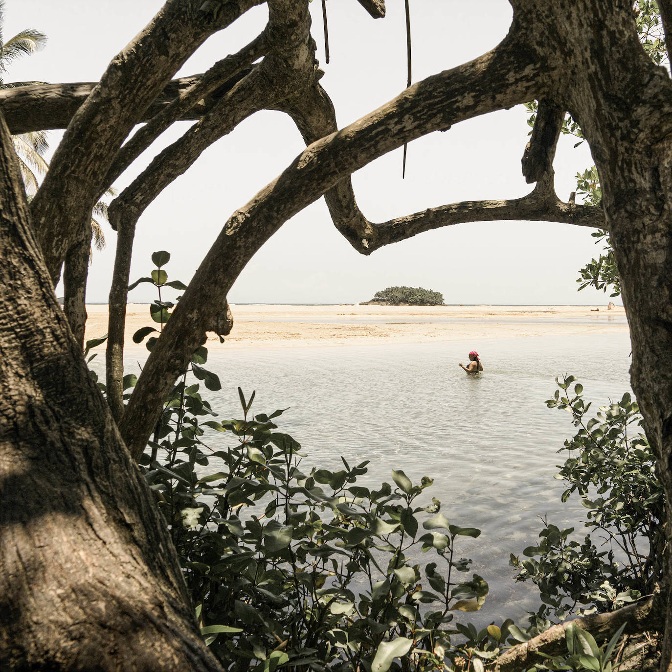 Fotos: Exposiciones &#039;Fluye&#039; y &#039;Son&#039;