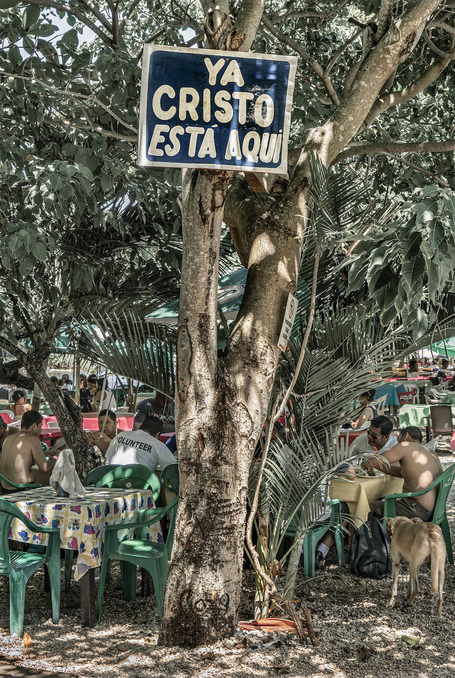 Fotos: Exposiciones &#039;Fluye&#039; y &#039;Son&#039;