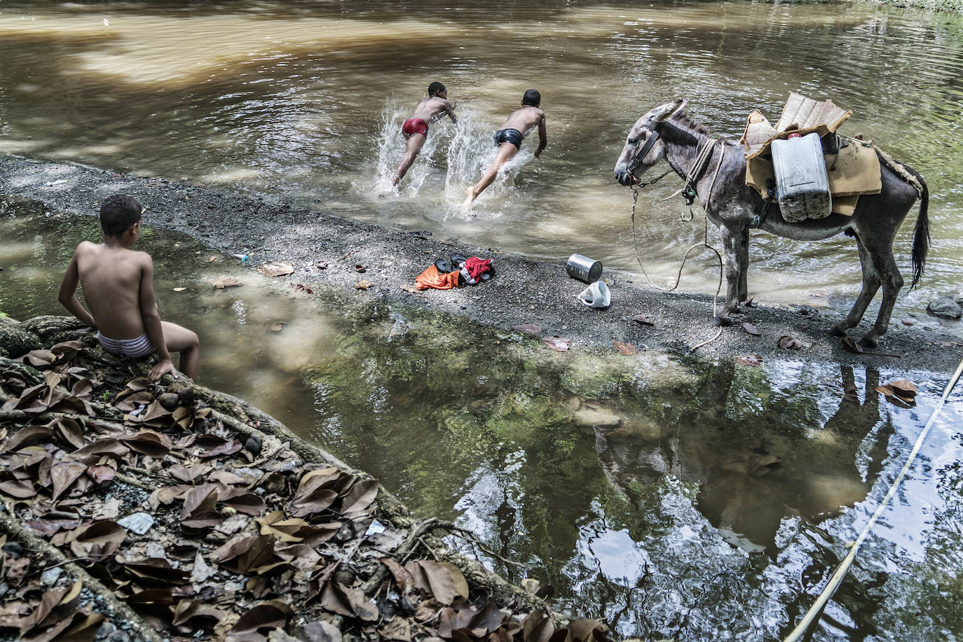 Fotos: Exposiciones &#039;Fluye&#039; y &#039;Son&#039;