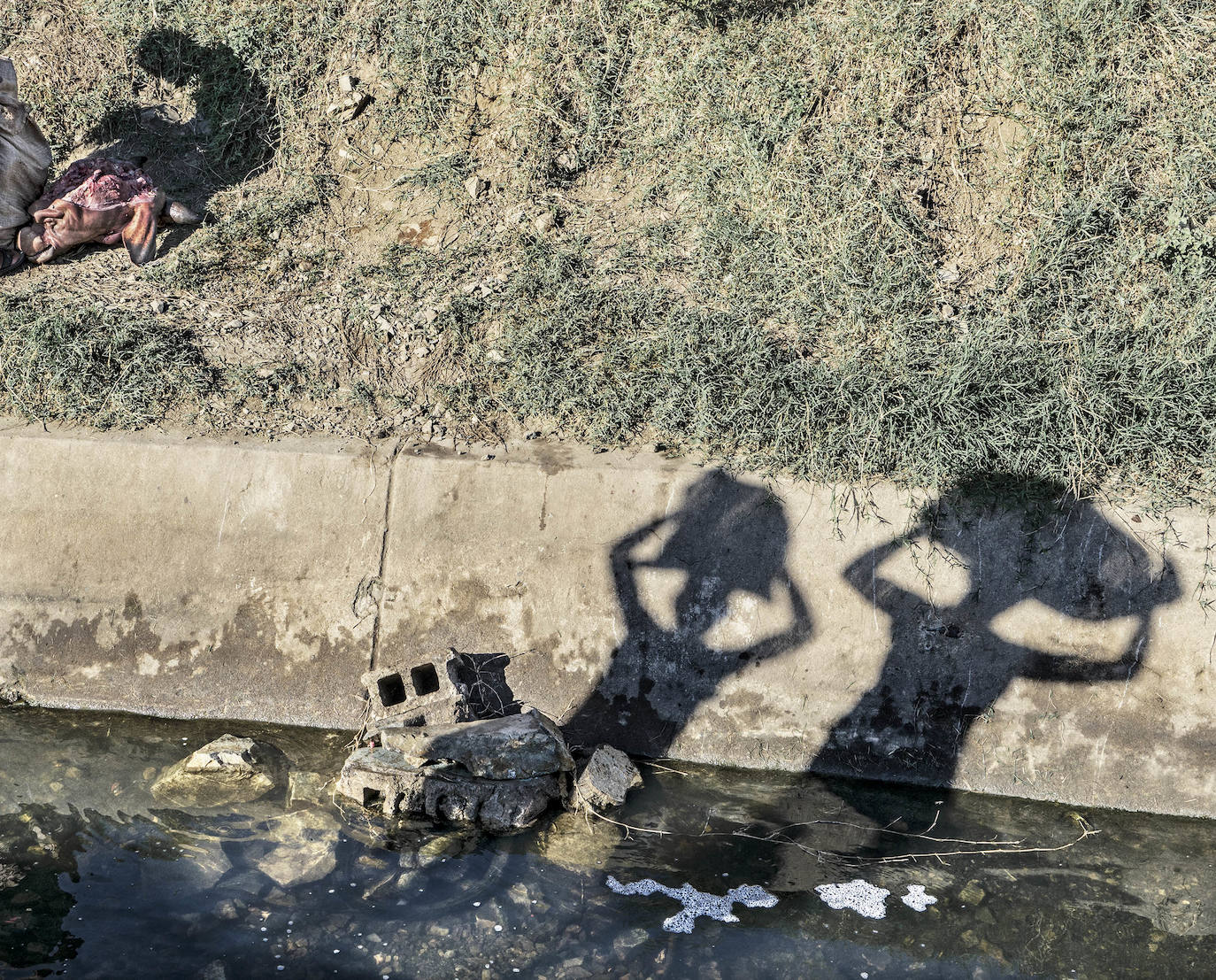 Fotos: Exposiciones &#039;Fluye&#039; y &#039;Son&#039;