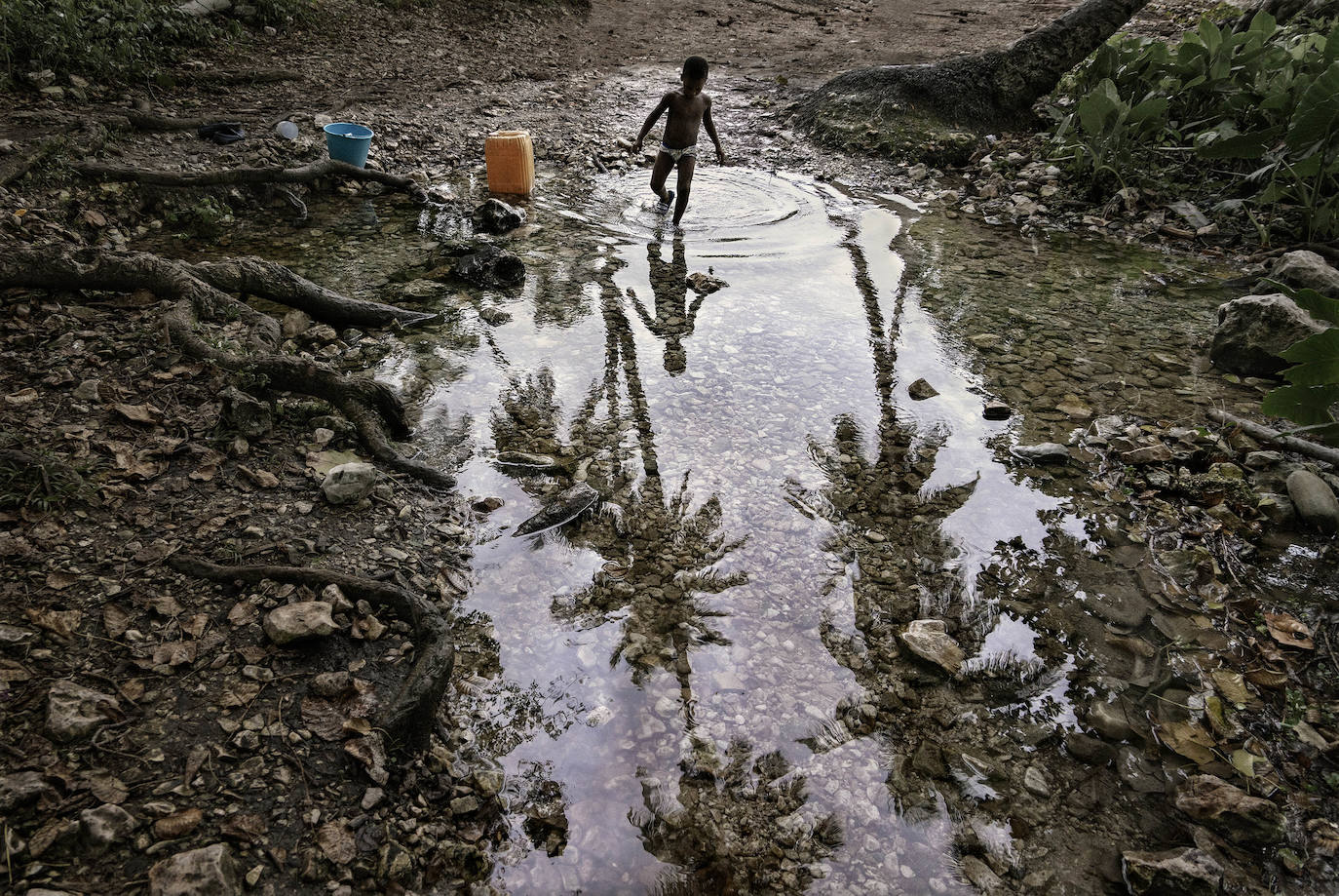 Fotos: Exposiciones &#039;Fluye&#039; y &#039;Son&#039;