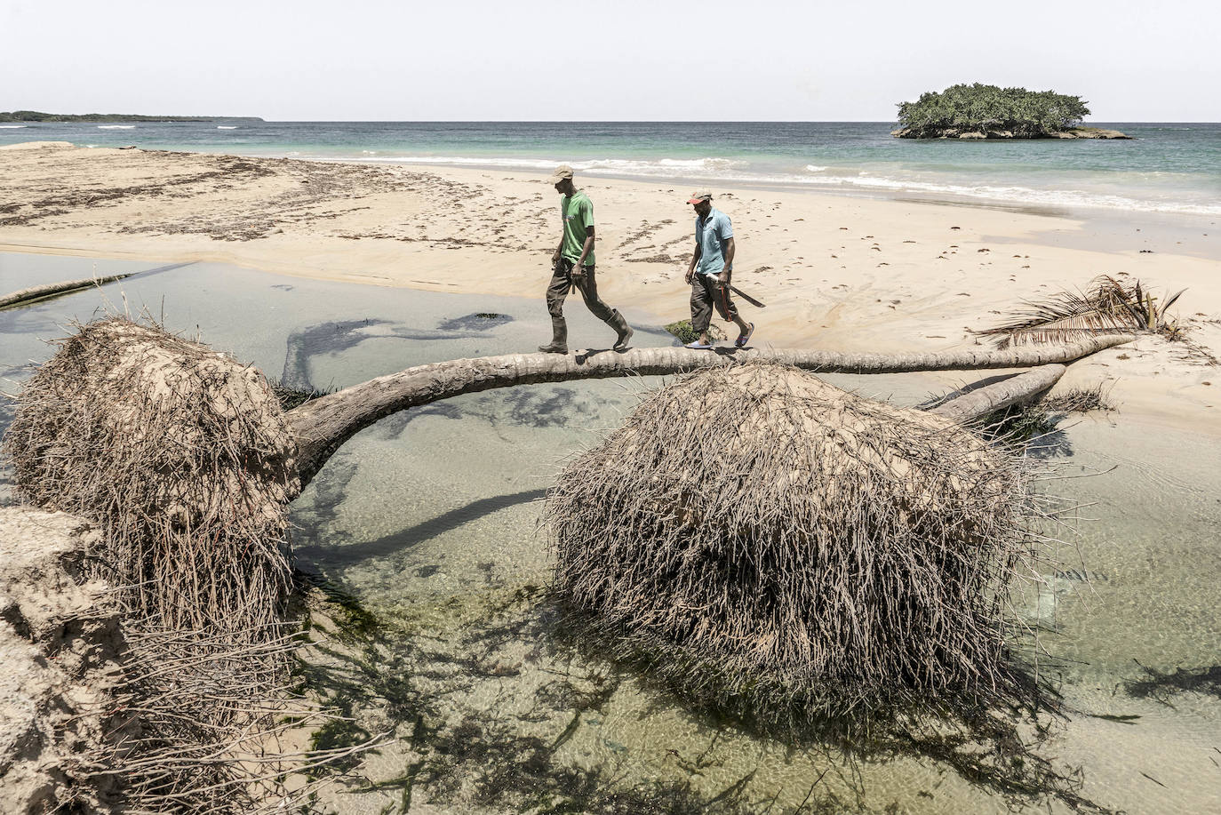 Fotos: Exposiciones &#039;Fluye&#039; y &#039;Son&#039;