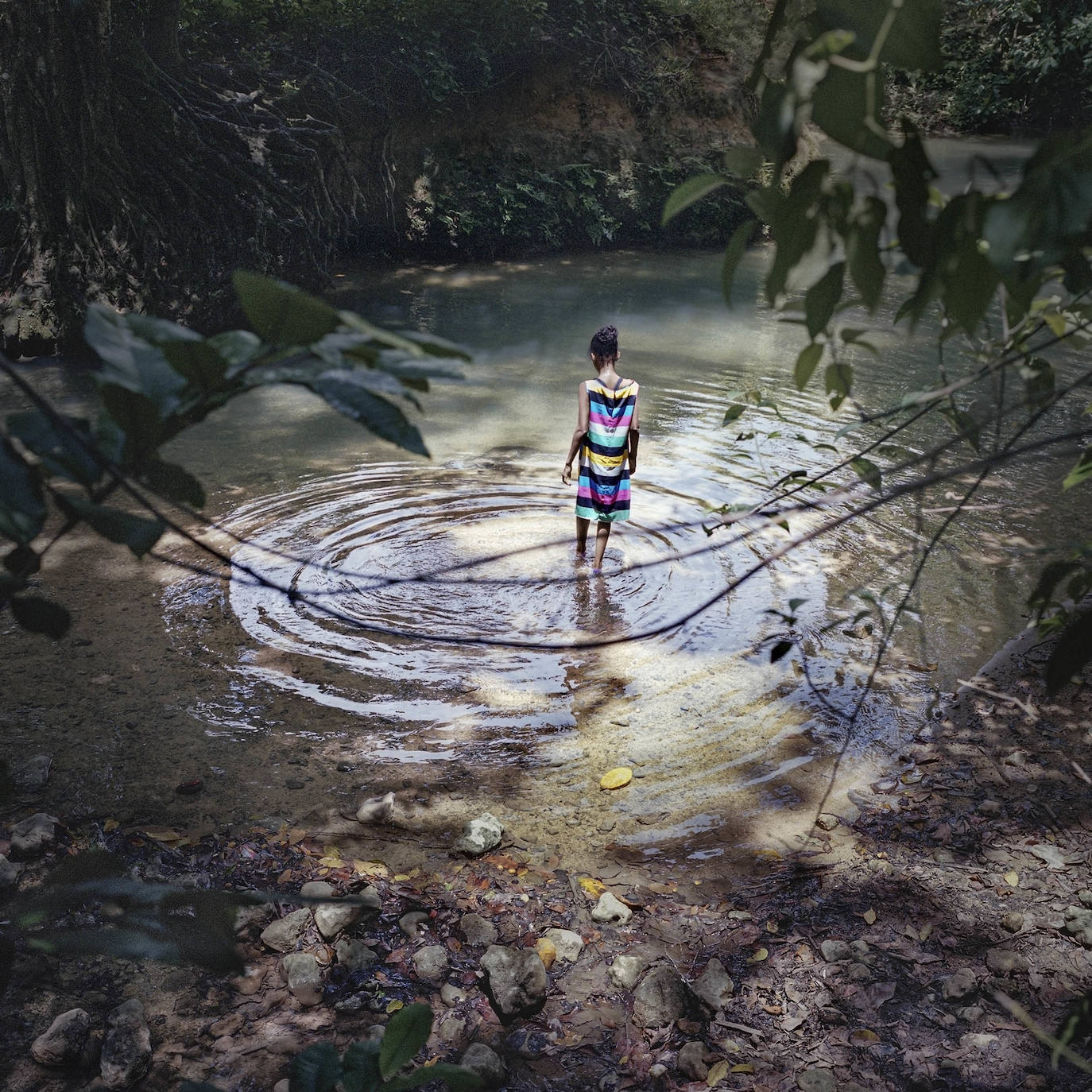 Fotos: Exposiciones &#039;Fluye&#039; y &#039;Son&#039;