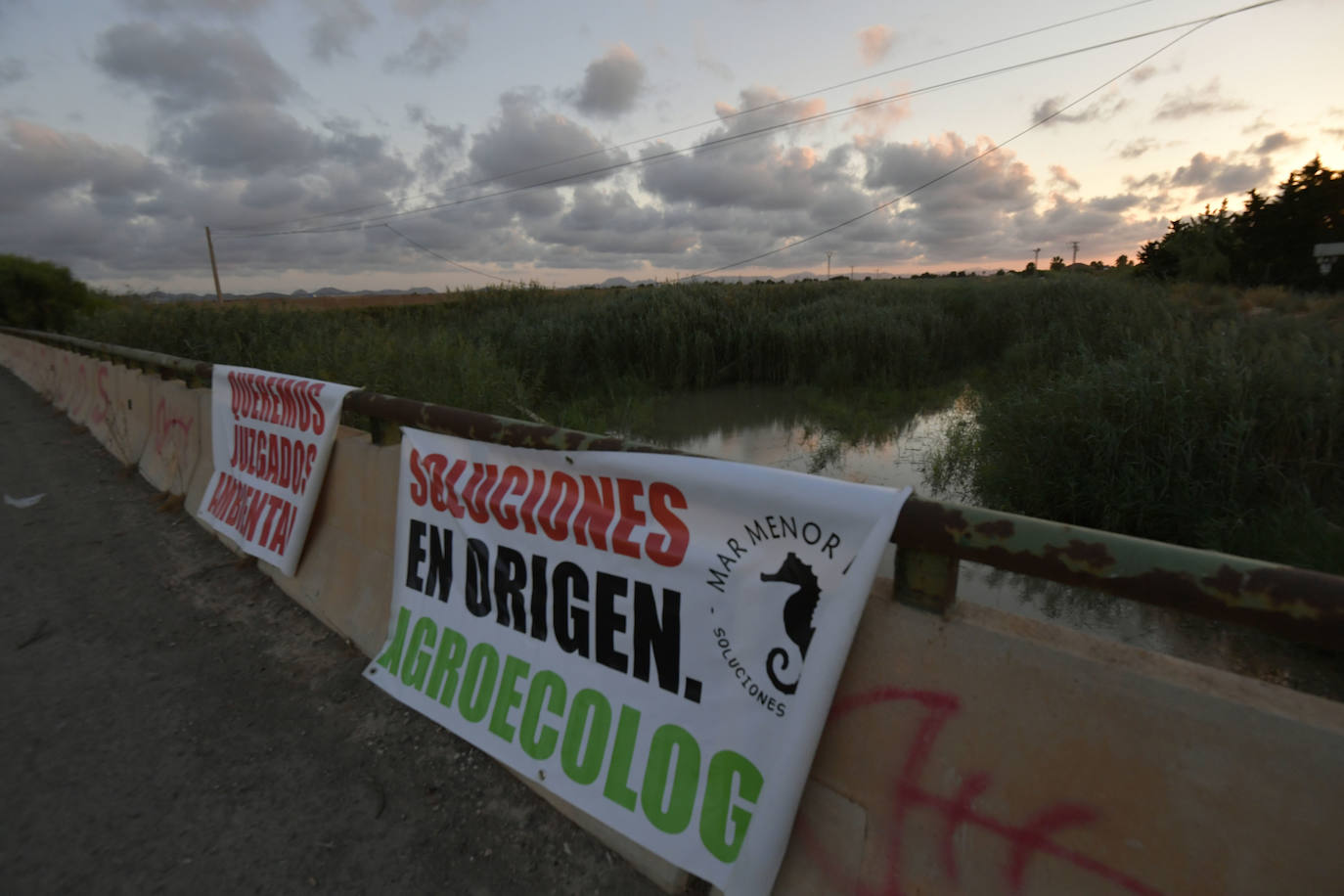 Fotos: La manifestación en la rambla del Albujón por el fin de los vertidos al Mar Menor, en imágenes
