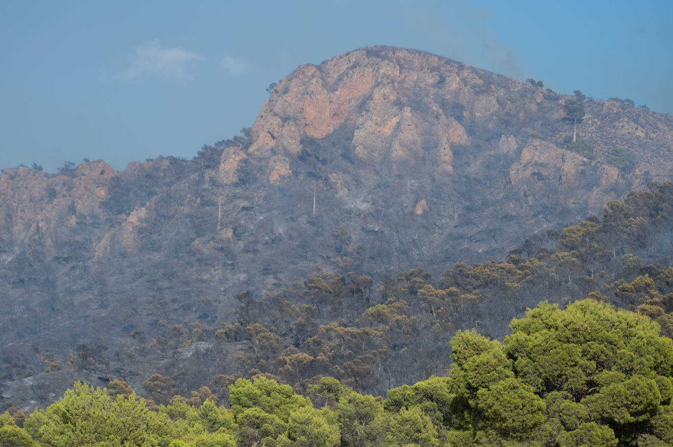 Fotos: El incendio de Jumilla ha calcinado ya 400 hectáreas
