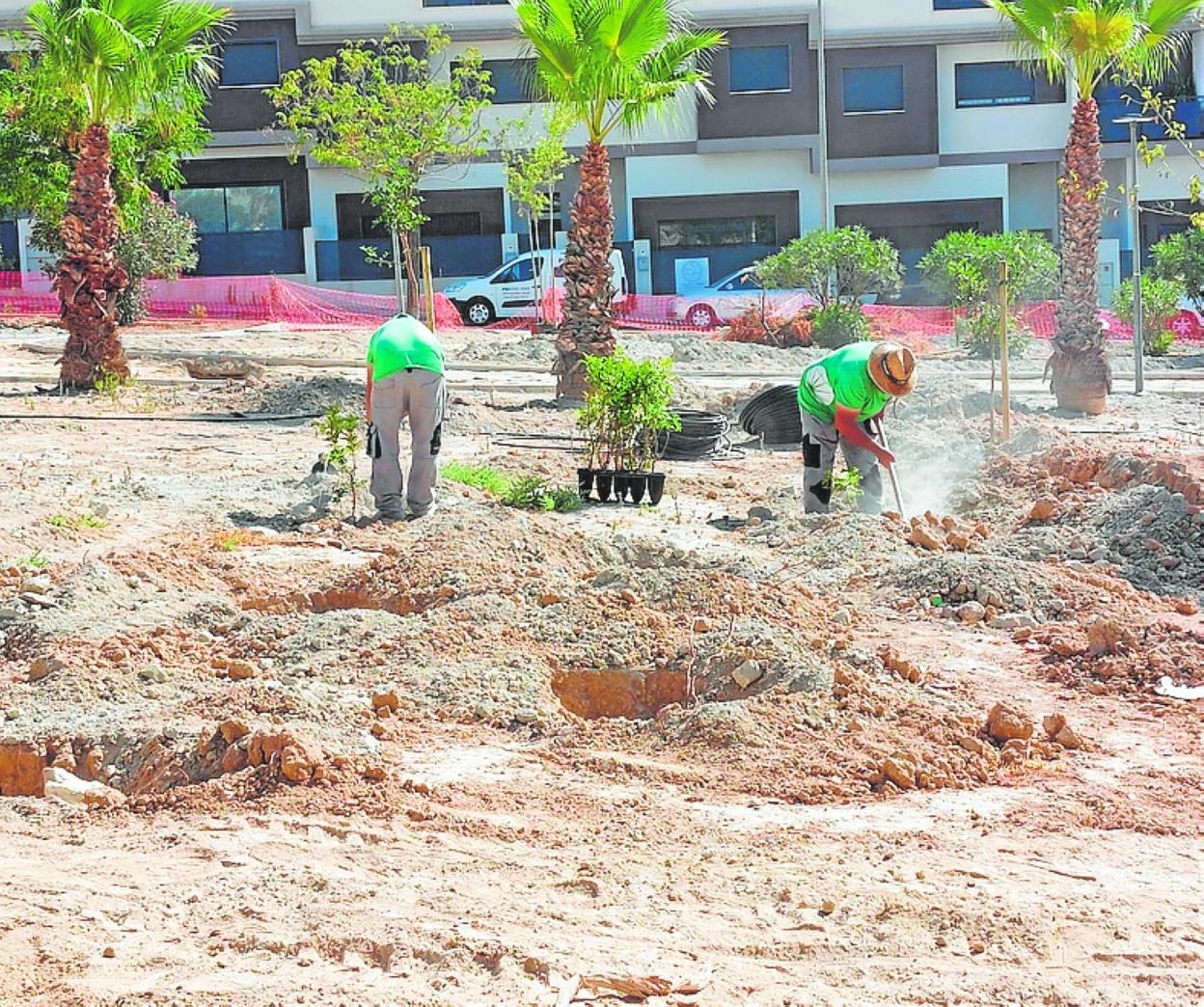Operarios plantan especies autóctonas en el parque Nelson Mandela. 