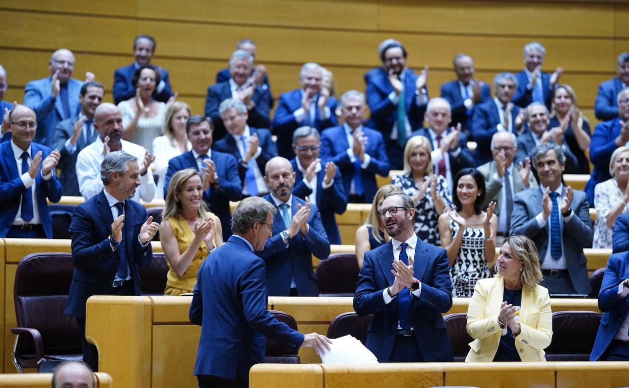 La bancada popular aplaude a Alberto Núñez Feijóo tras su intervención en el Senado. 