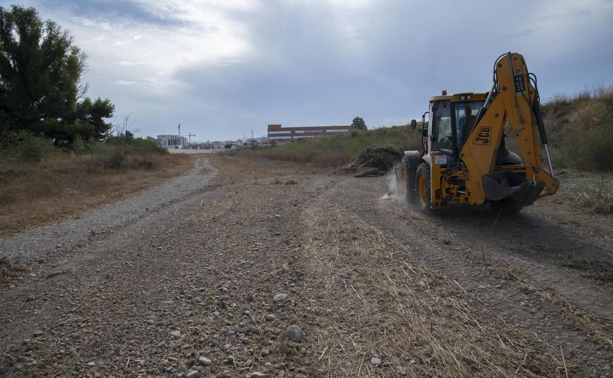 Un operario apila maleza con una pala excavadora en la rambla de Canteras, cerca del colegio San vicente de Paúl, para que el agua fluya sin obstáculos hacia el Mediterráneo.