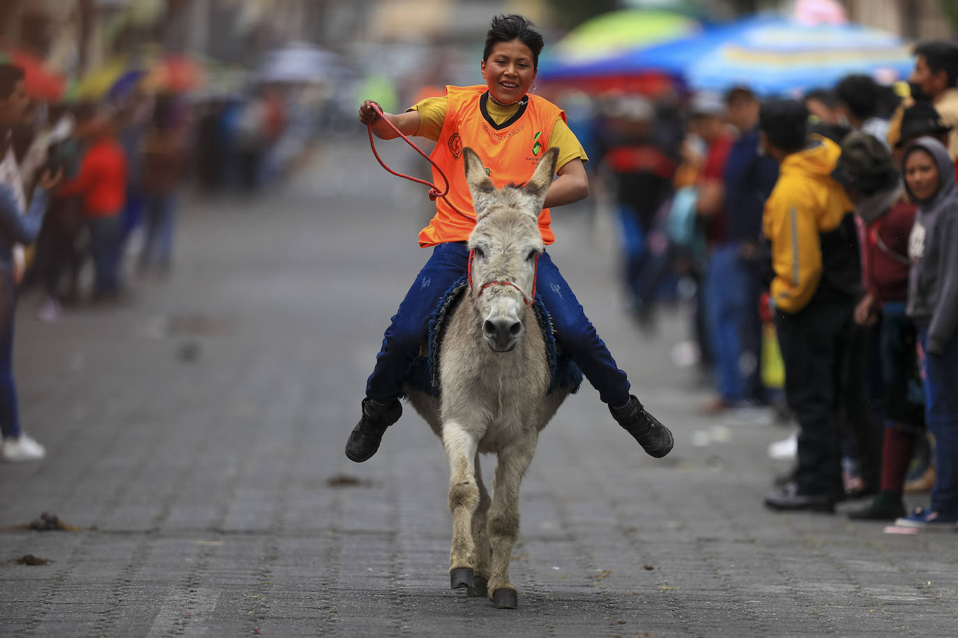 Fotos: Carrera de burros