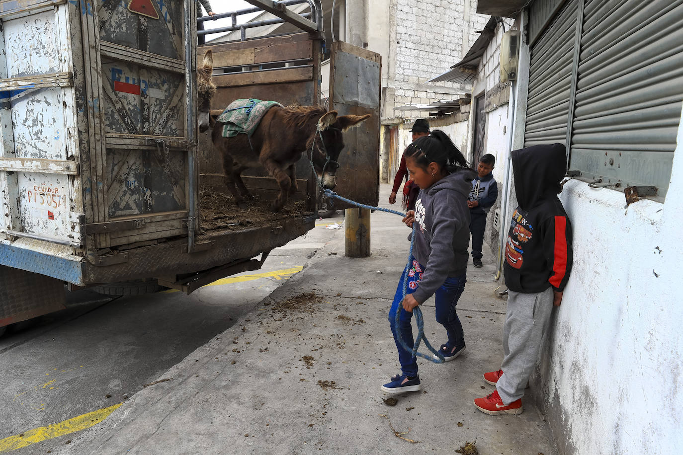 Fotos: Carrera de burros