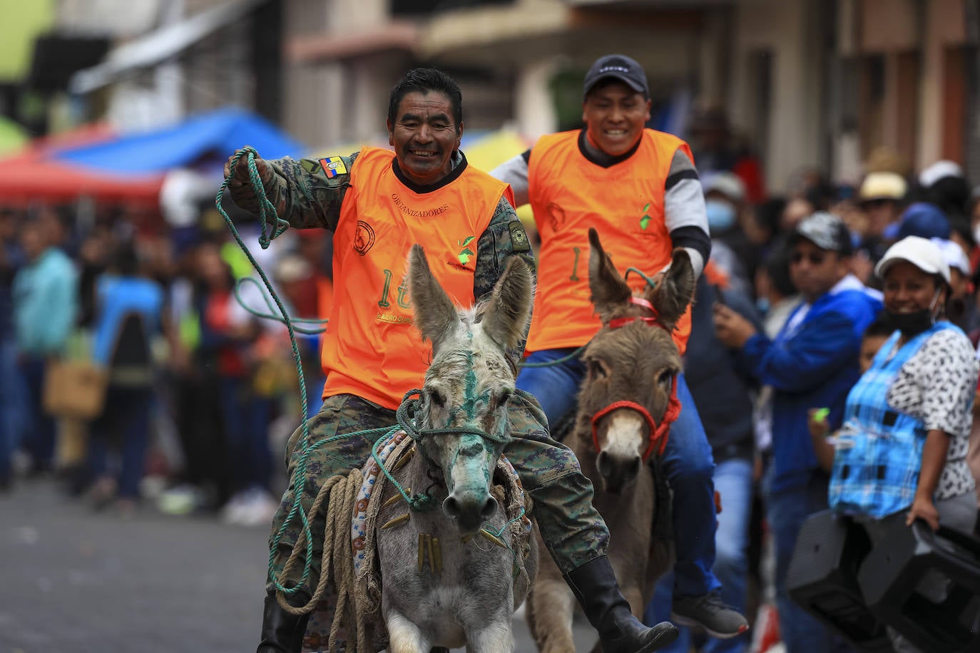 Fotos: Carrera de burros