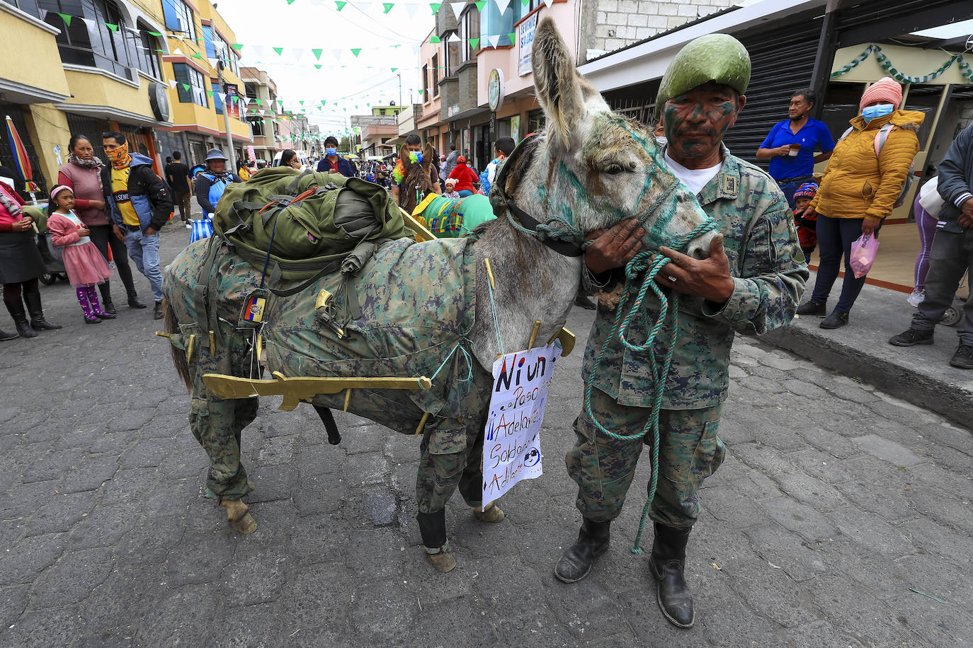 Fotos: Carrera de burros
