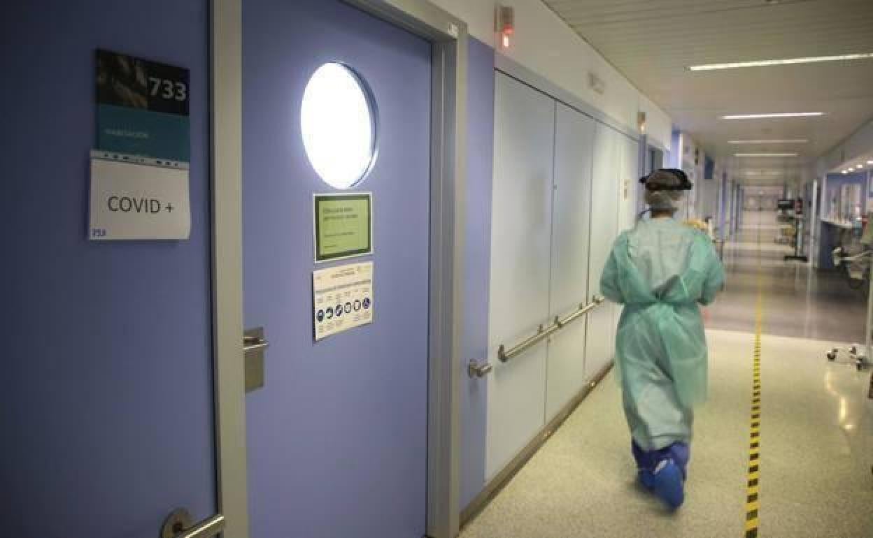 Planta Covid en el hospital Reina Sofía de Murcia, en una imagen de archivo. 