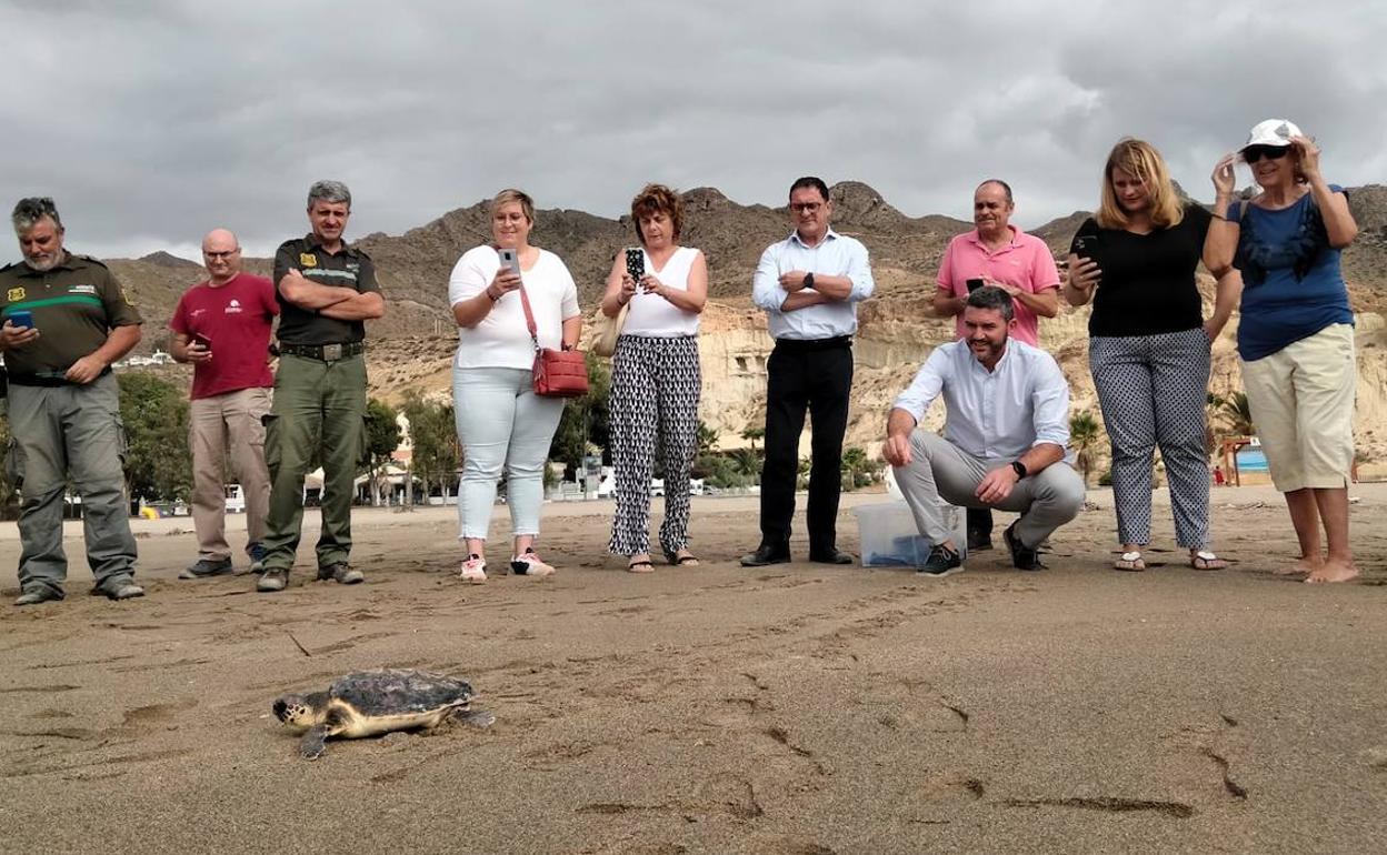 El momento de la liberación de la tortuga boba en Bolnuevo.