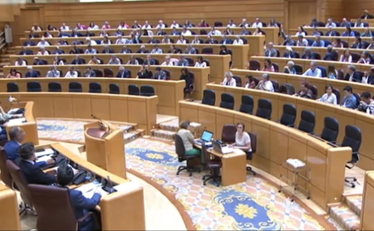 Miembros de la delegación a favor de la ILP del Mar Menor este miércoles en el Senado. 