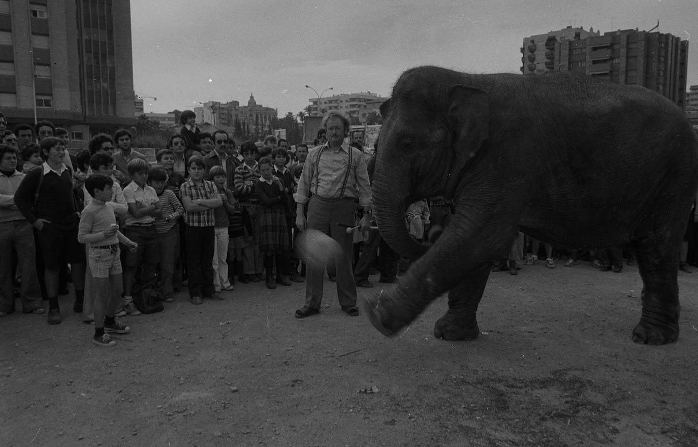 Fotos: Juan López, un legado eterno por fin digitalizado