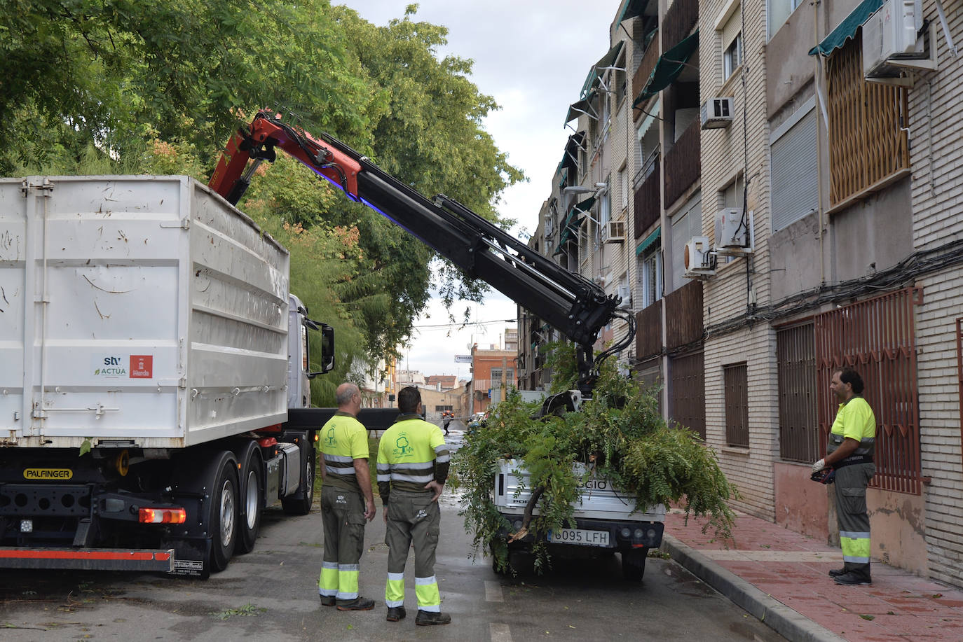 Operarios retiran ramas caídas en el barrio murciano de San Basilio. 