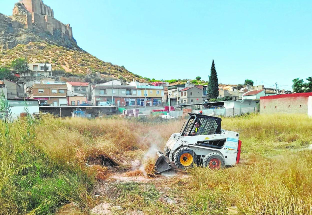 Un trabajador de la empresa contratada por el Ayuntamiento limpia una finca privada en Monteagudo. 