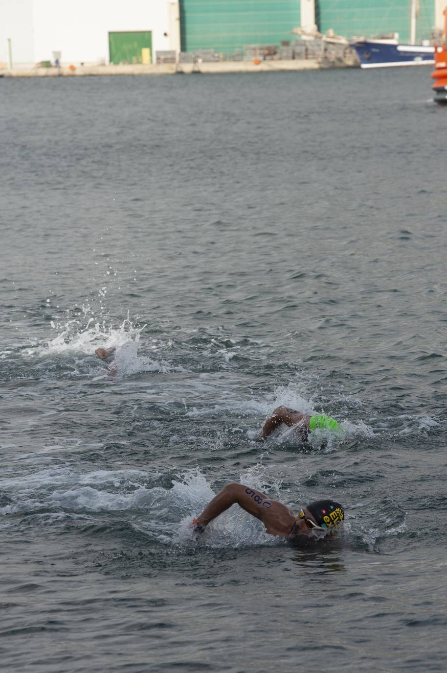 Fotos: Fase final de la Copa de España de aguas abiertas celebrado en Cartagena