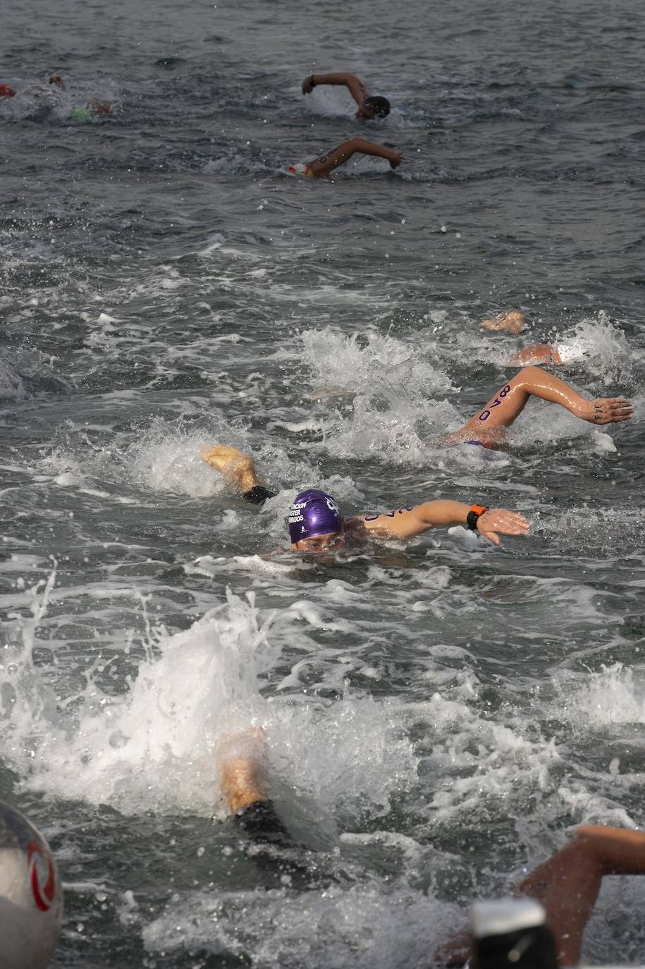 Fotos: Fase final de la Copa de España de aguas abiertas celebrado en Cartagena