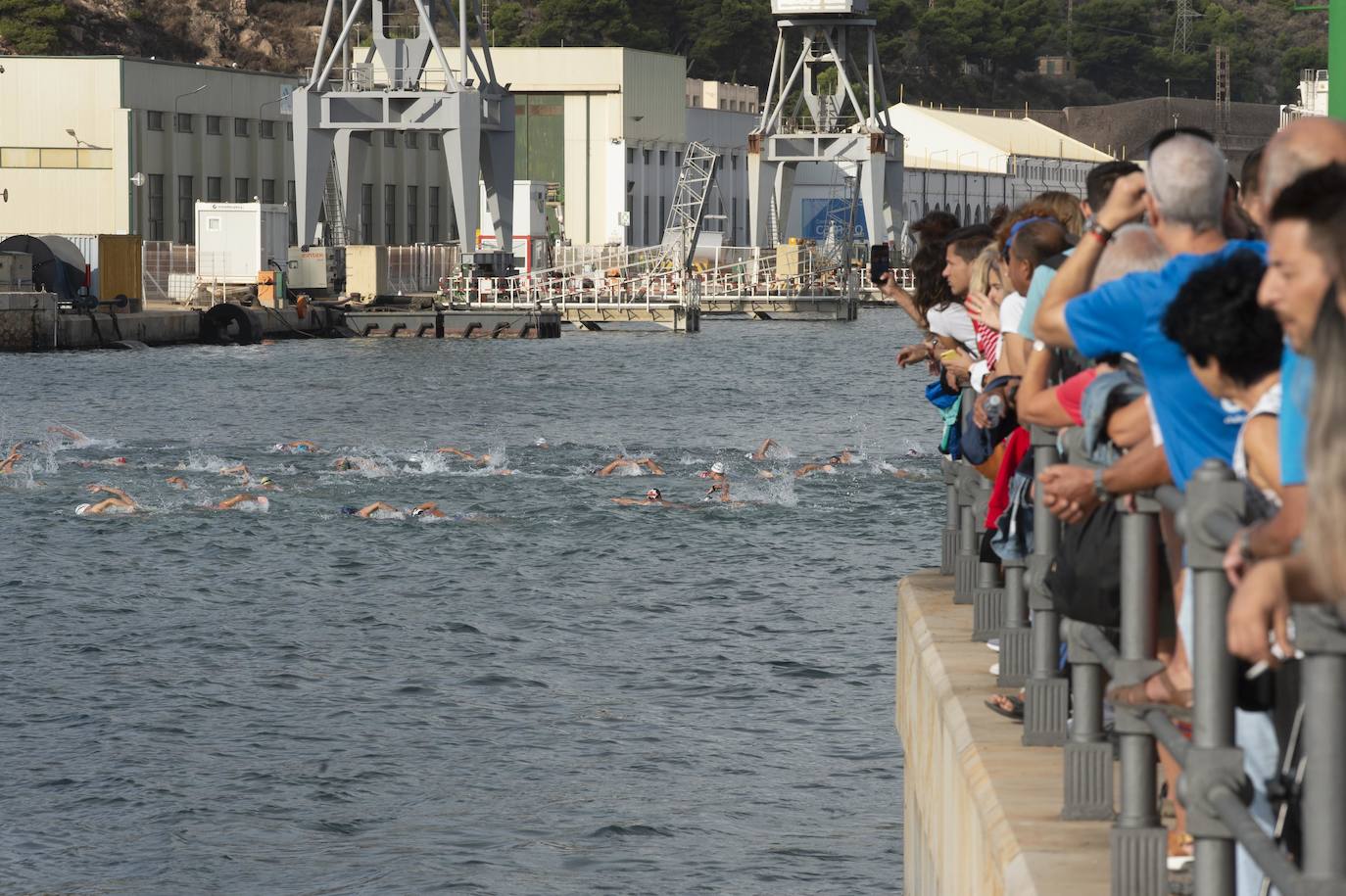 Fotos: Fase final de la Copa de España de aguas abiertas celebrado en Cartagena