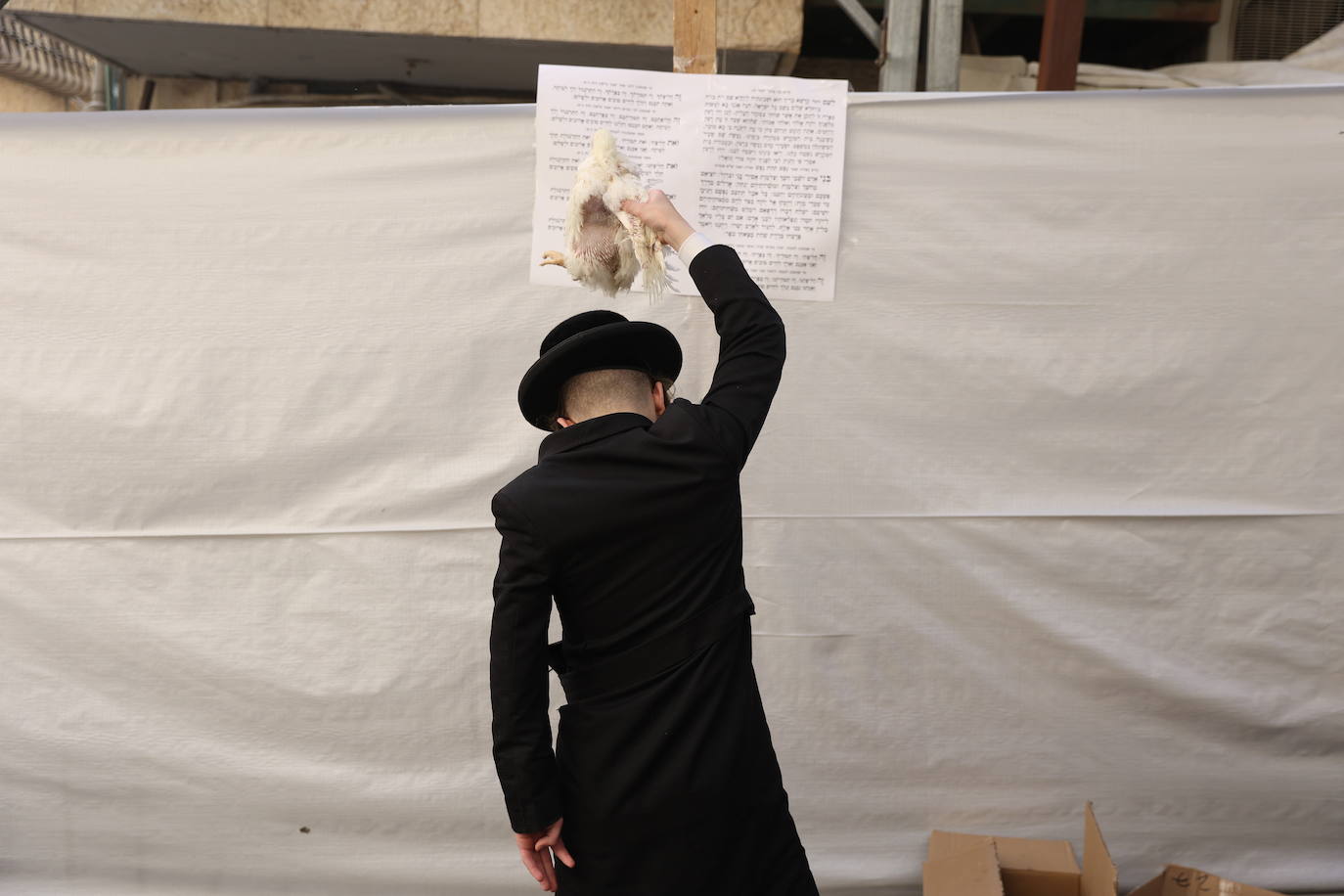 Fotos: Expiando los pecados