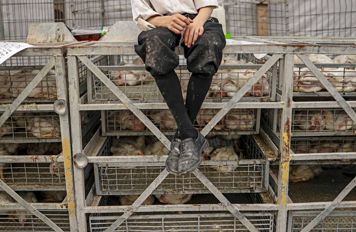 Fotos: Expiando los pecados