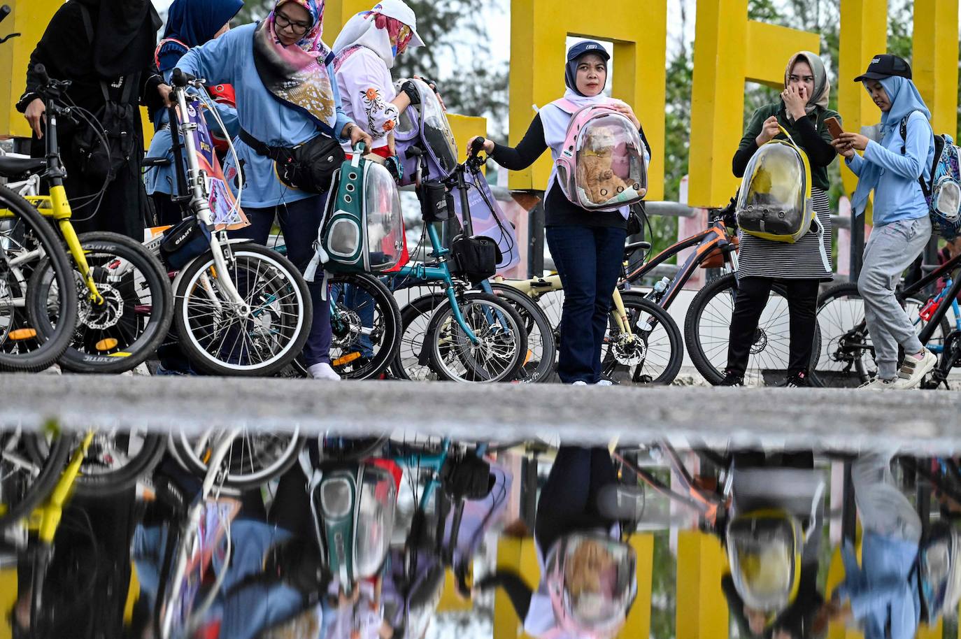 Fotos: Día Mundial del Animal en Indonesia