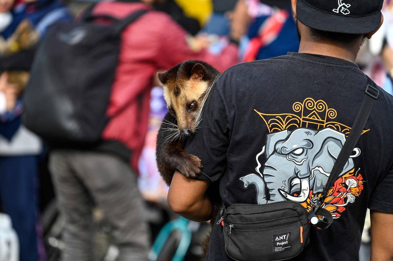 Fotos: Día Mundial del Animal en Indonesia