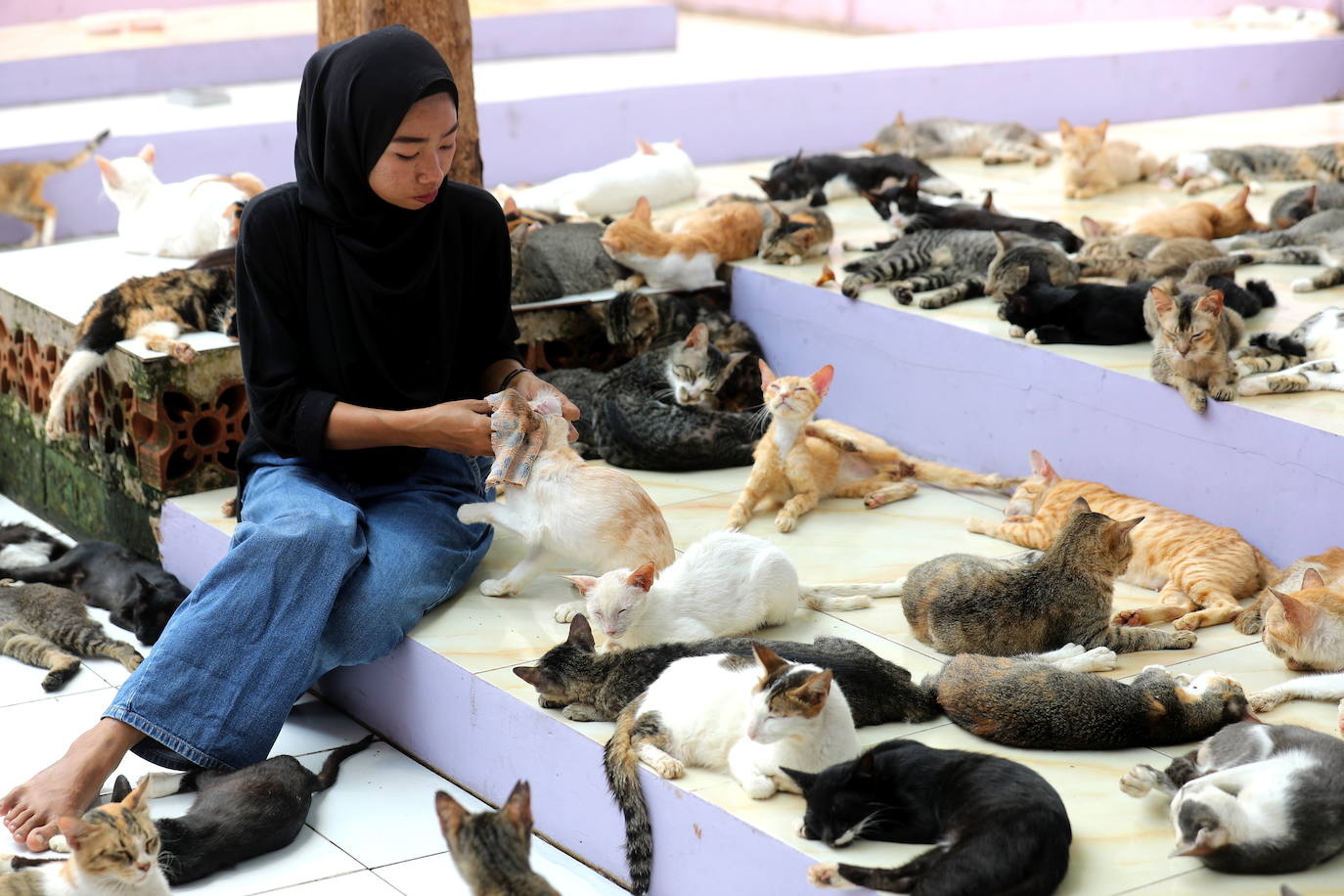 Fotos: Día Mundial del Animal en Indonesia