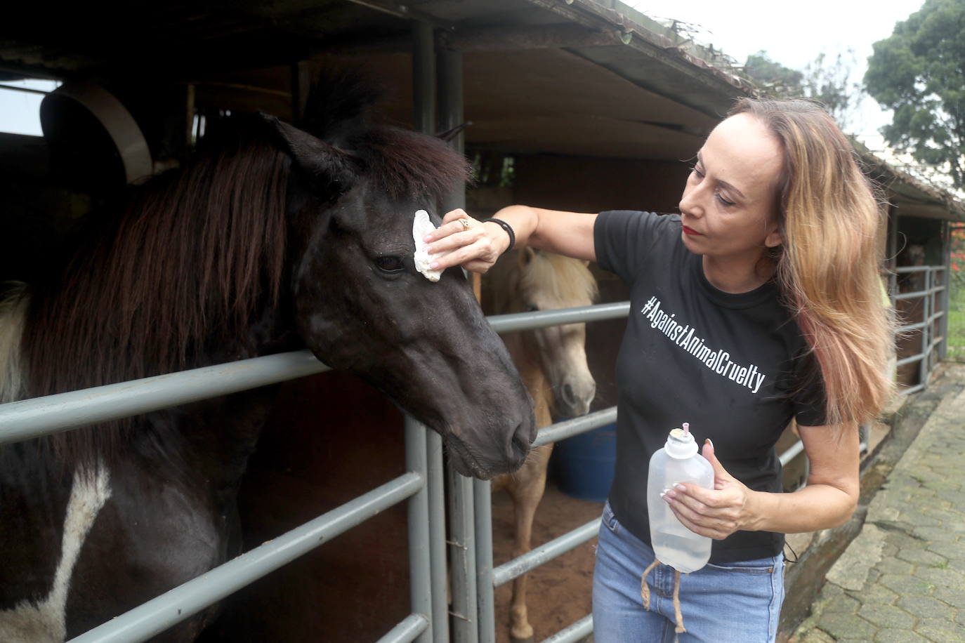 Fotos: Día Mundial del Animal en Indonesia