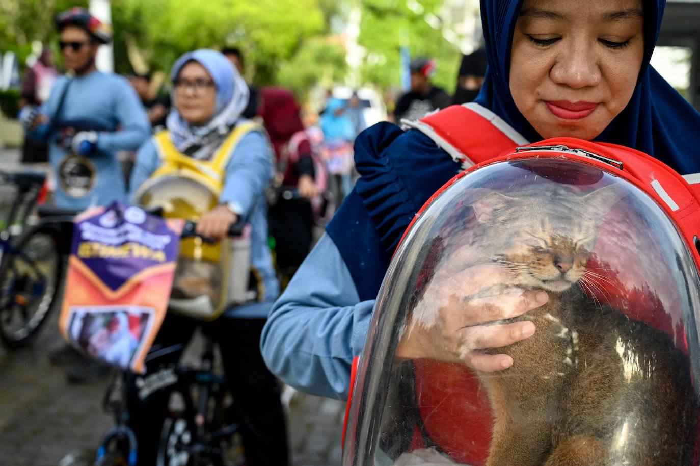 Fotos: Día Mundial del Animal en Indonesia